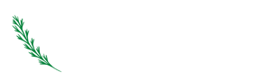 SOFT FOOD DIET